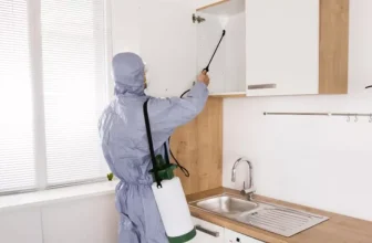 Smart Solutions for Pest-Proofing Your Kitchen Space