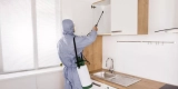 Smart Solutions for Pest-Proofing Your Kitchen Space